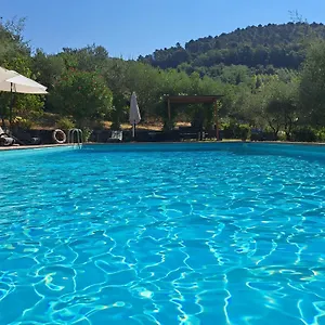 Agriturismo Poggio All'olmo Bauernhof